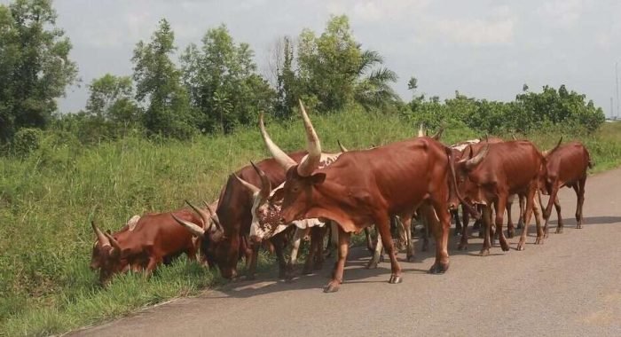 15621239974_1055bd0c3d_k