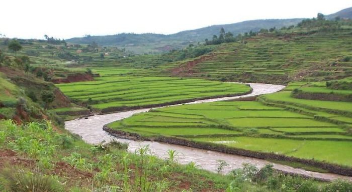 393898695_94d6b985ea_c