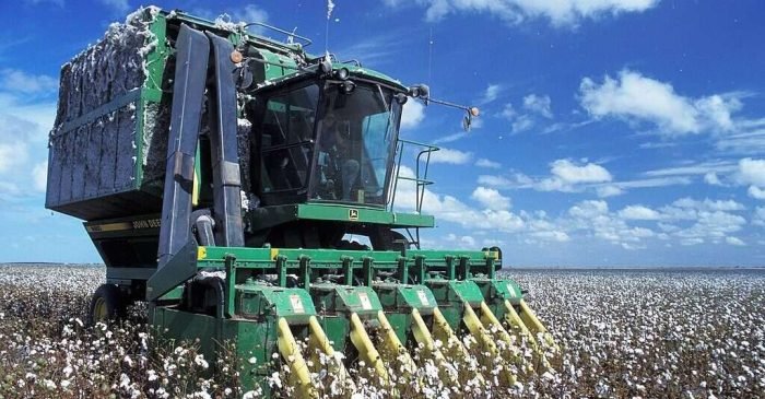 Baumwoll-Erntemaschine_auf_Feld