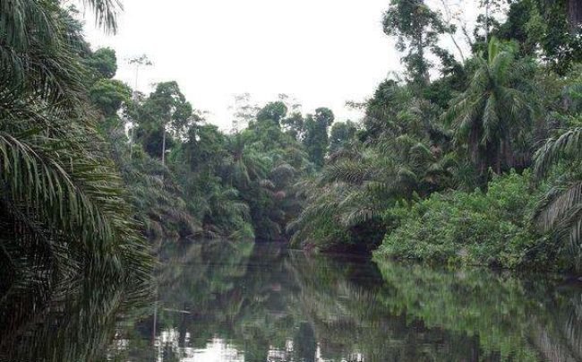 Gabon-26730