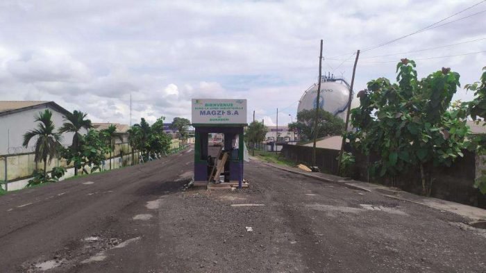 Magzi_Bonaberi small